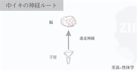 中イキって？中イキの仕組みとできる人、できない人の違い –。